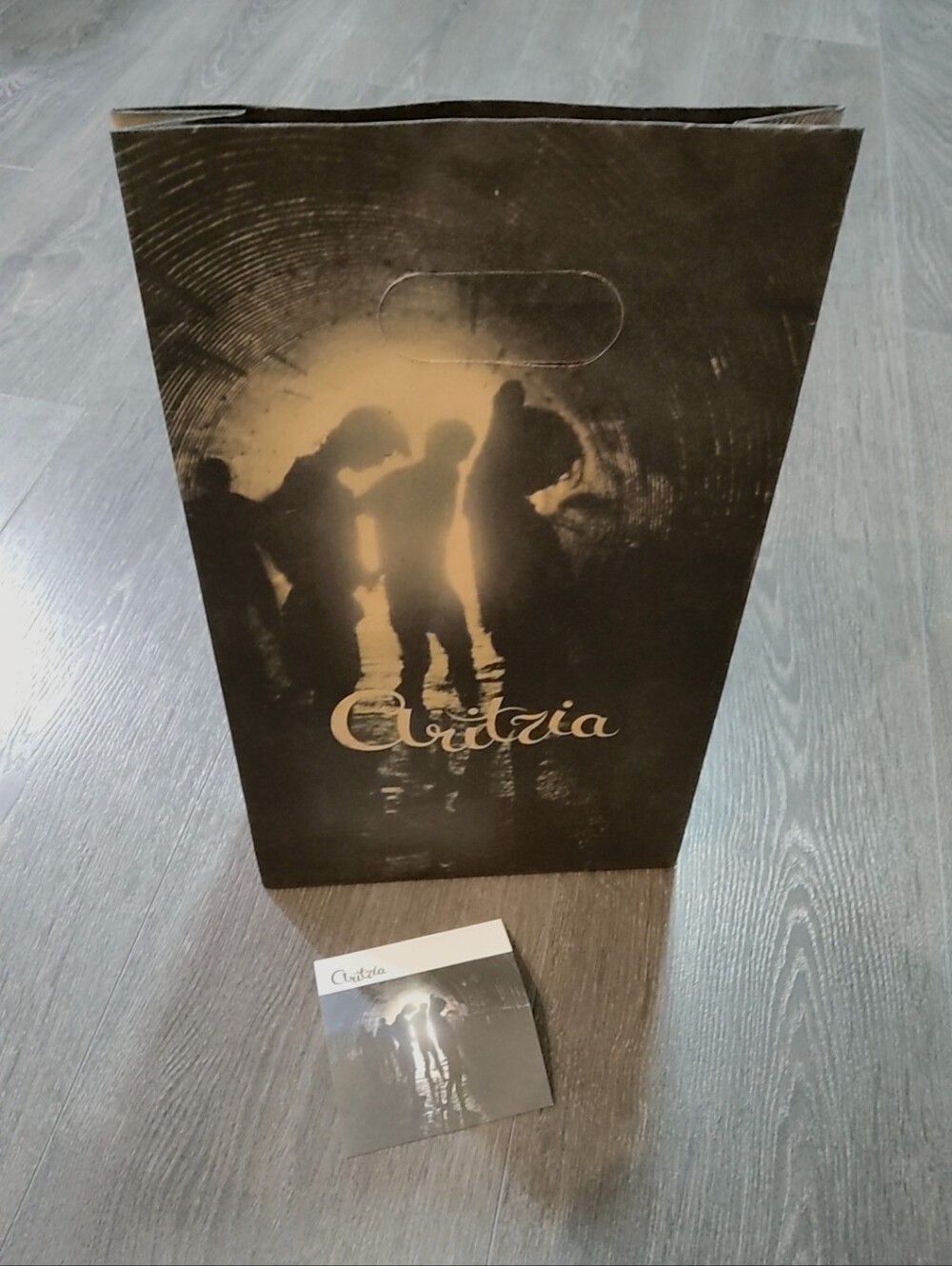 Aritzia Shopping Bag